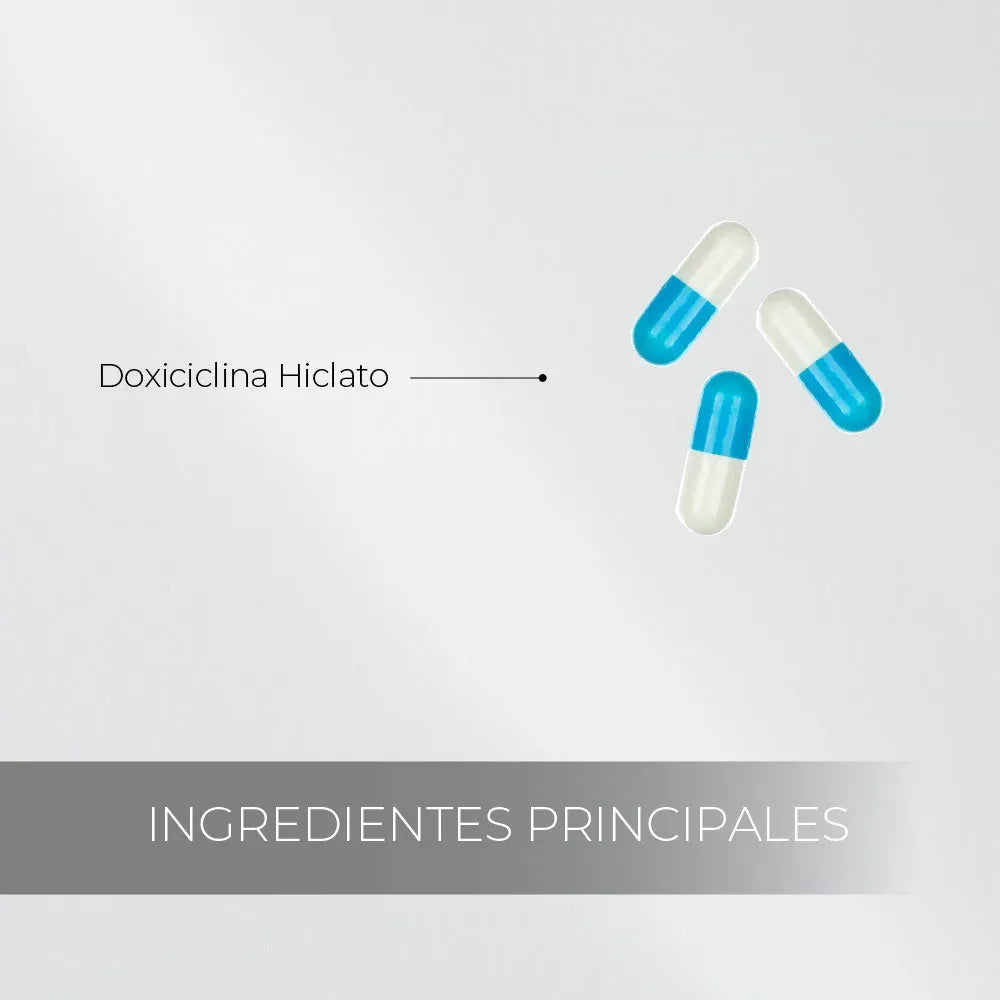 Pharmaderm Hiclina x10 Cápsulas