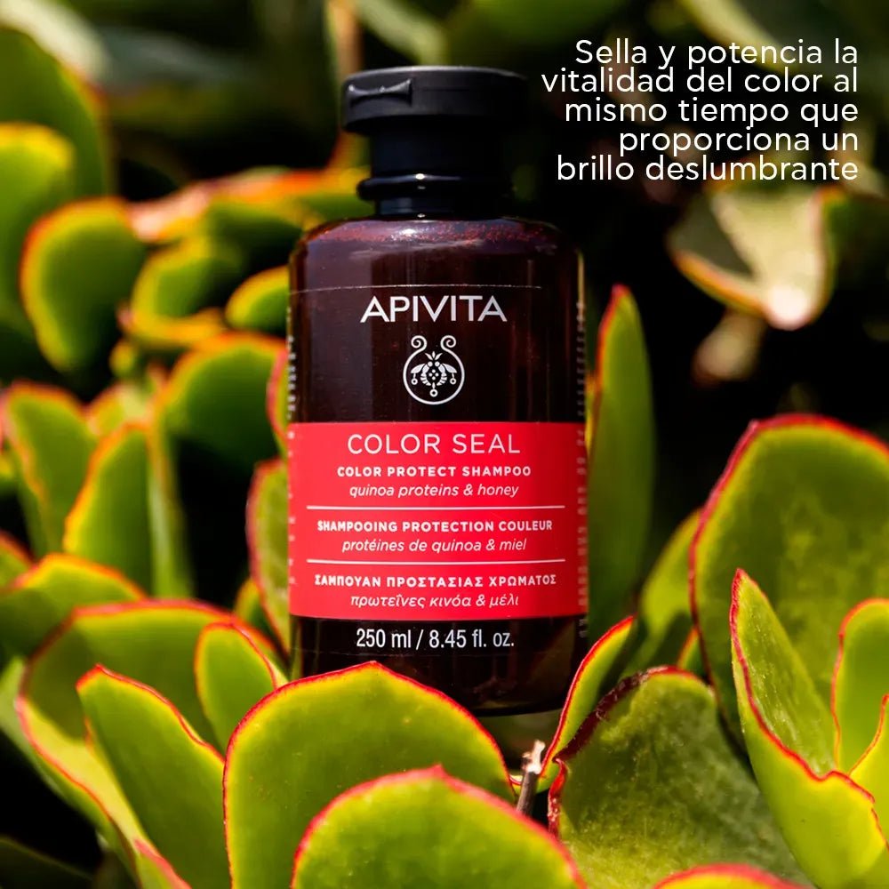 Apivita Champú Sellador del Color x250ml - TIENDA PIEL