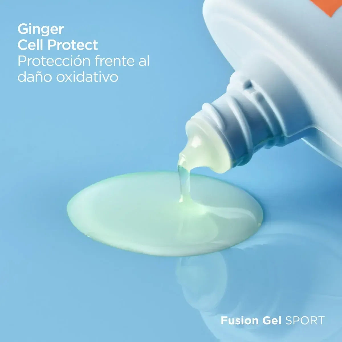 Tienda Piel