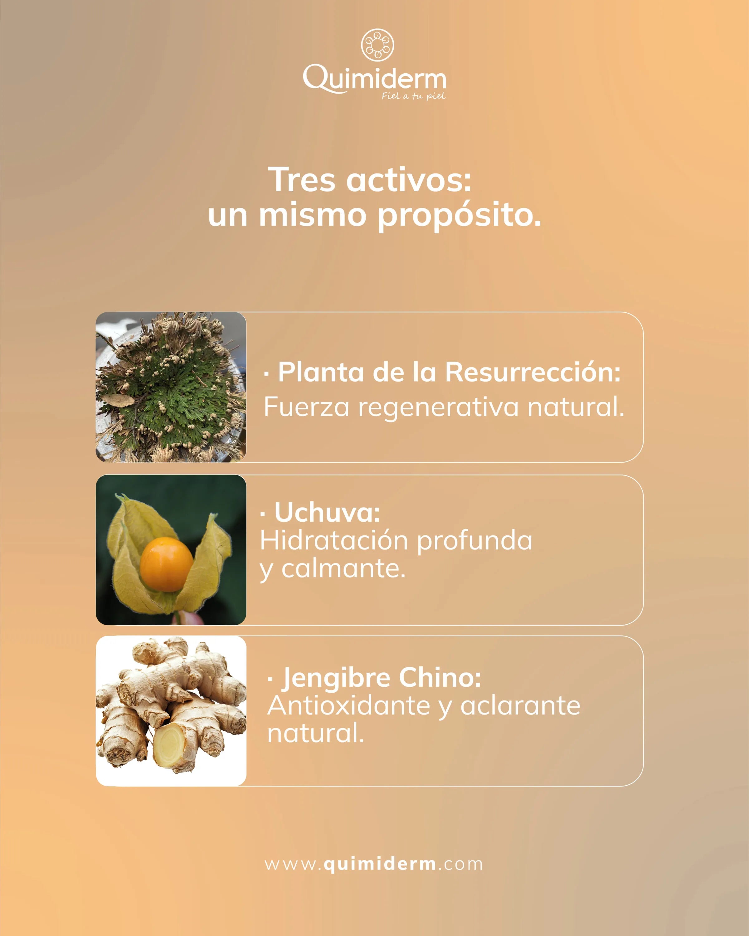 Quimiderm Melanostop Forte Serum x 30gr