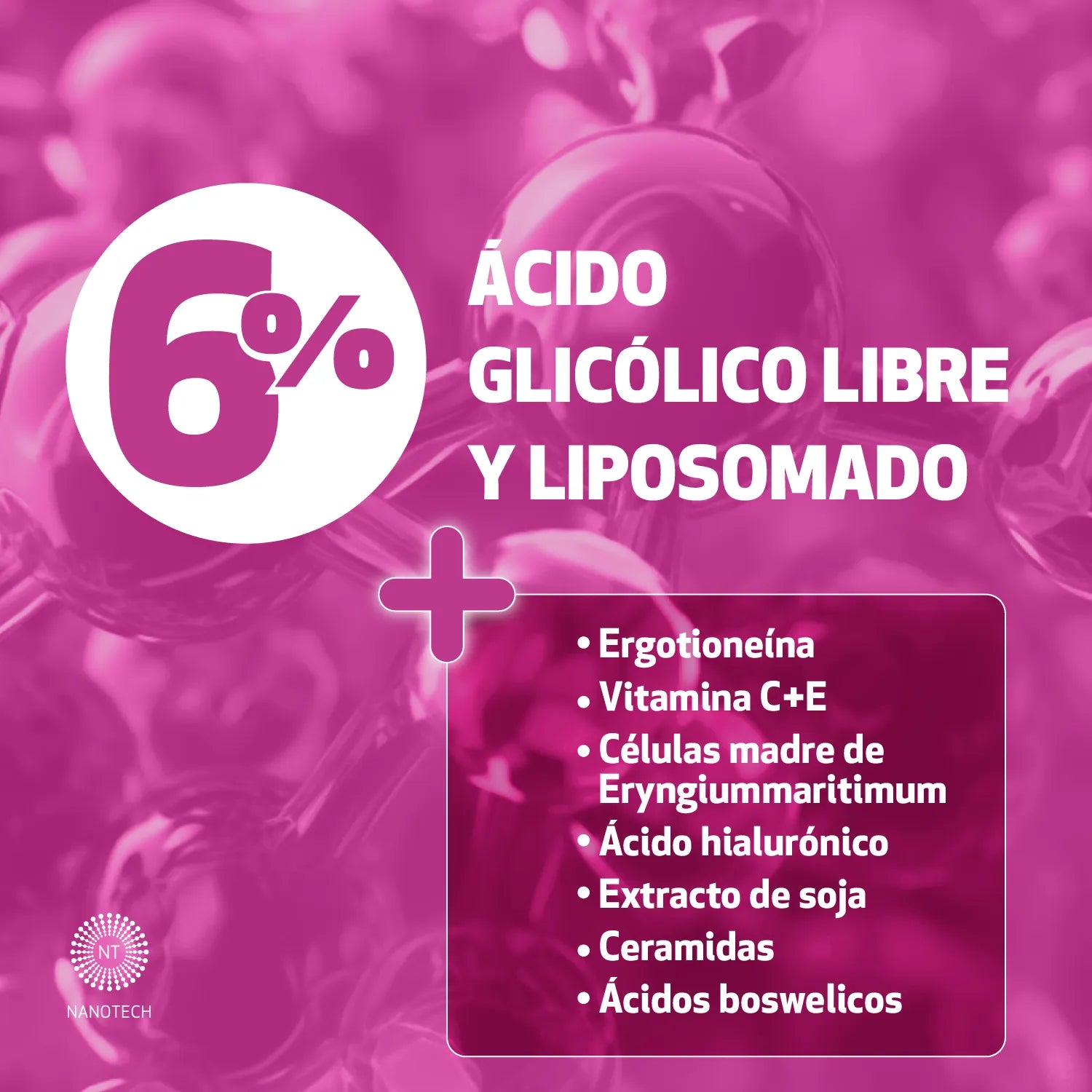 Tienda Piel