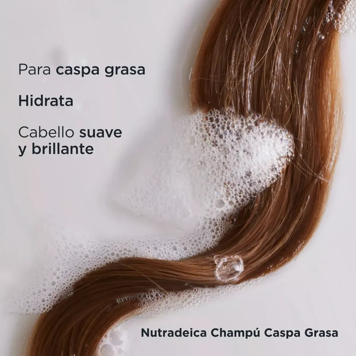 Tienda Piel