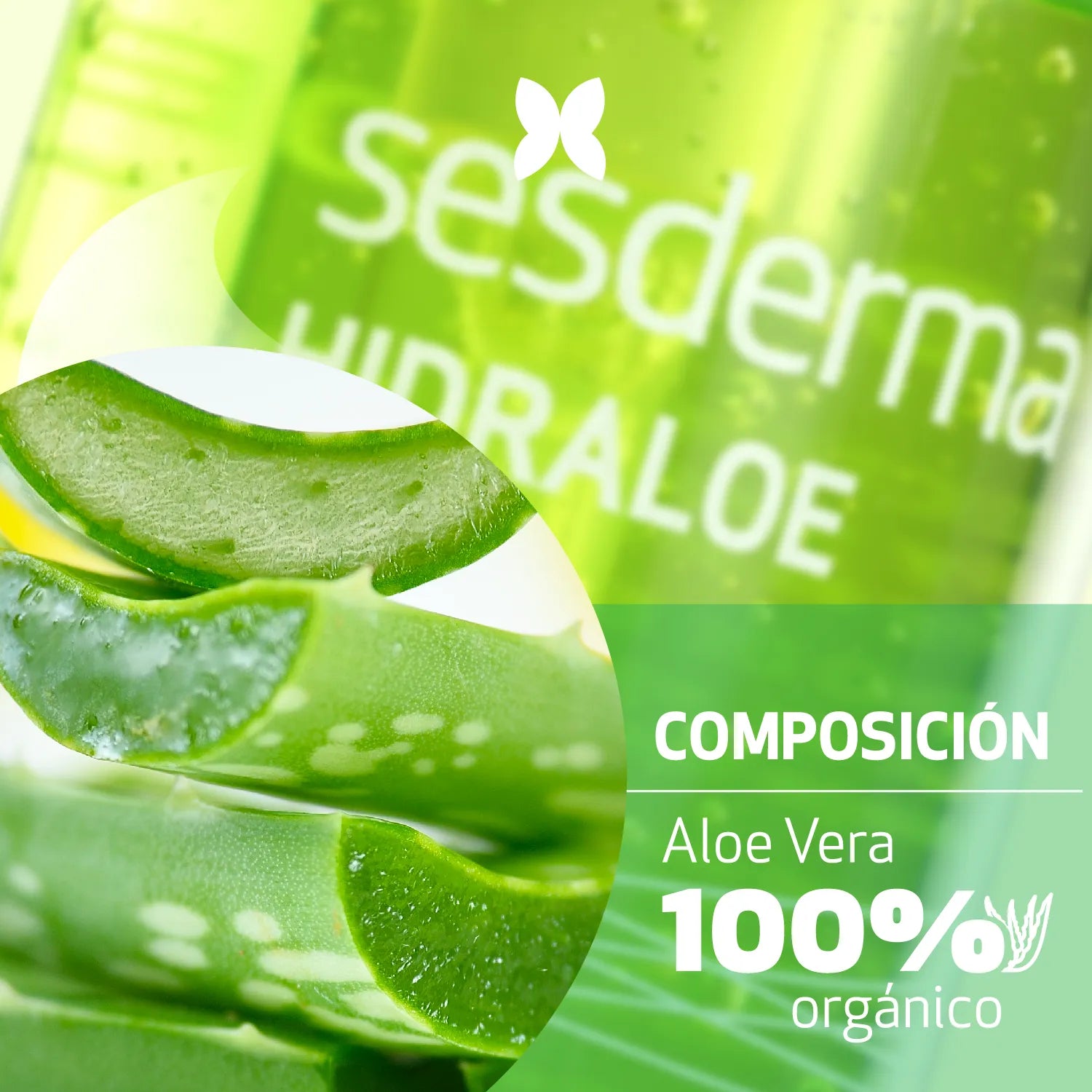 Tienda Piel