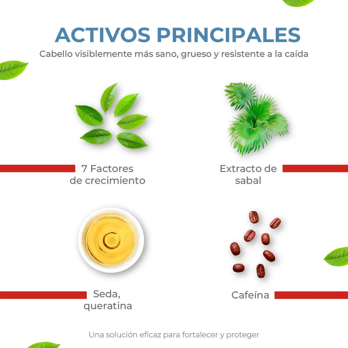 Sesderma Seskavel Mascarilla Anticaída x250ml